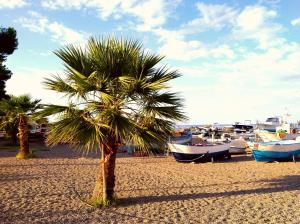 una palmera en una playa de arena con barcos en Casa Charlotte 1 & Casa Charlotte 2, en Mongiove
