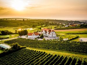 an aerial view of a vineyard with a house and vines at Hotel Neustifter in Poysdorf