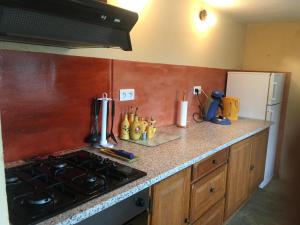 莫南的住宿－Chez Jojo，厨房柜台配有炉灶和冰箱。