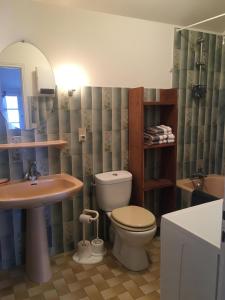 莫南的住宿－Chez Jojo，一间带卫生间、水槽和镜子的浴室