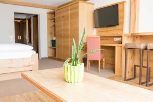 TV a/nebo společenská místnost v ubytování Hotel Gerbe