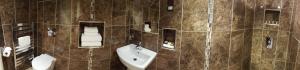 大耶德漢姆的住宿－白鹿酒店，一间带卫生间和水槽的浴室