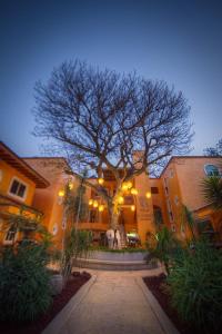 喬可特佩的住宿－艾爾尚特溫泉酒店，前面有一棵树的大建筑