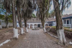 Hostería Hacienda Pinsaqui في اوتابالو: صف من الأشجار أمام المبنى