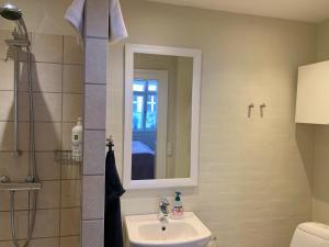 a bathroom with a sink and a shower with a mirror at Ribe Sønderport Bed & Kitchen in Ribe