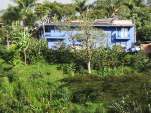 una casa azul en una colina con árboles y césped en CASA AZUL LA GARRUCHA, en Jardín