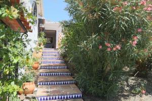 Ogród w obiekcie Cortijo La Palmera, Frigiliana