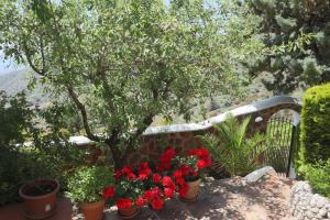 Ogród w obiekcie Cortijo La Palmera, Frigiliana