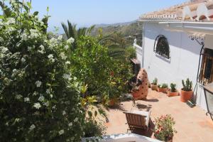 Ogród w obiekcie Cortijo La Palmera, Frigiliana