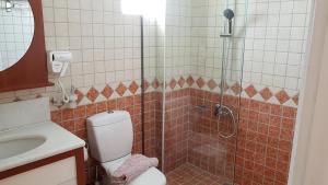 a bathroom with a shower and a toilet and a sink at Hotel Grand Nefeli in Vasiliki