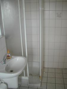 y baño con lavabo y ducha. en Ferienwohnung Kirchblick, en Heyweiler