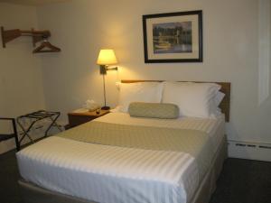 a hotel room with a large bed and a lamp at Boyne City Motel in Boyne City