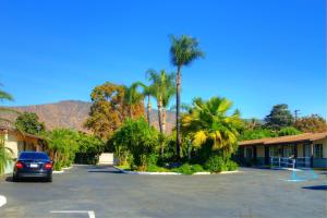 a car parked in front of a palm tree at Palm Tropics Motel in Glendora