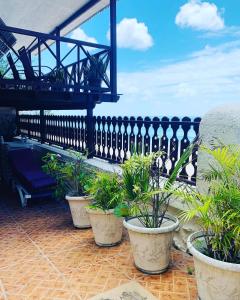 a group of potted plants sitting on a patio at Beach Vue Barbados in Bridgetown