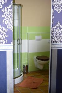 a bathroom with a toilet and a glass shower at Gast-und Weinhaus Zwiebelturm in Kerken