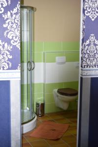 y baño con aseo y ducha acristalada. en Gast-und Weinhaus Zwiebelturm, en Kerken