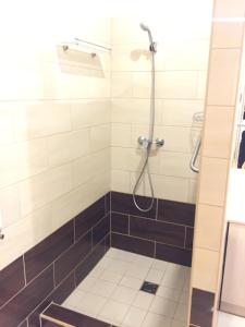 Ένα μπάνιο στο Budapest Airport , accommodation in Vecsés