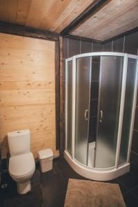 een badkamer met een toilet en een douche bij Шале "Конопка" in Boekovel