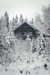 バコヴェルにあるШале "Конопка"の木々の前に雪に覆われた小屋