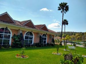 une maison avec un palmier dans la cour dans l'établissement Hotel Villa Monarca Inn, à Zitácuaro