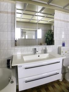 a bathroom with a sink and a mirror and a toilet at Charming Apartment with Mountain View in Altmünster