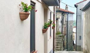 Fotografie z fotogalerie ubytování B&B Continanza v destinaci Castelsaraceno