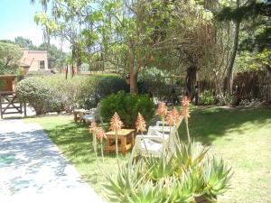 een tuin met een bos planten in het gras bij Dandy Suites in Mar de las Pampas