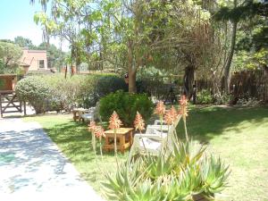 a garden with a bunch of plants in the grass at Dandy Suites in Mar de las Pampas
