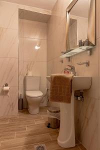 a bathroom with a toilet and a sink and a mirror at Afroditi Hotel in Paralia Katerinis +120 photos