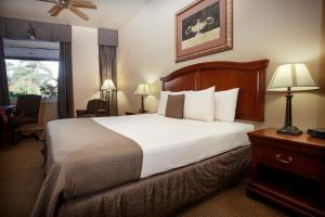 Gallery image of O'Brien Riverwalk Boutique Hotel in San Antonio