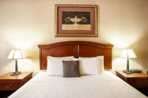 una habitación de hotel con una cama con dos lámparas y una foto en O'Brien Riverwalk Boutique Hotel, en San Antonio 30 fotos más