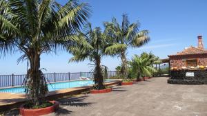 un complejo con palmeras y piscina en TIAROSALIA, en Tijarafe