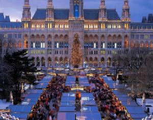 ウィーンにあるVienna homeのクリスマスツリーが目の前にある大きな建物