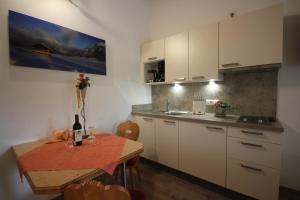 A kitchen or kitchenette at Ferienwohnungen Karwendel Camping