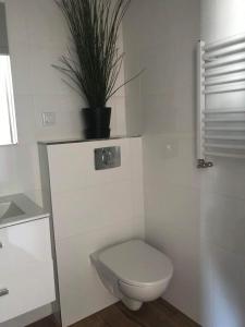 a white bathroom with a toilet and a plant at ApartamentLeśna12Hel in Hel