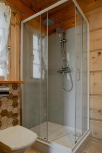 a glass shower in a bathroom with a toilet at Biolo i Corno Izba Mountain Chalets in Kościelisko