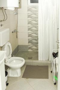 a bathroom with a toilet and a shower with a shower curtain at Apartmani Bojana in Vrdnik