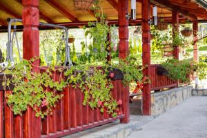 a red fence with potted plants on it at Apartmani Bojana in Vrdnik