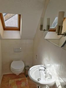 a white bathroom with a toilet and a sink at Ferienwohnung Burgblick in Betzenstein