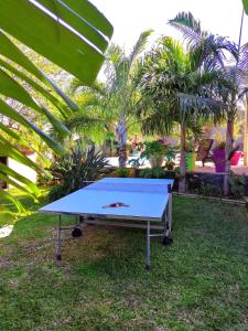 Table tennis facilities sa Les 3 Soleils o sa malapit