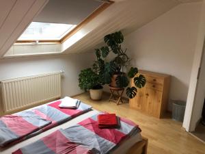 a attic bedroom with a bed and a skylight at Ferienwohnung Heidelberg ZE-2020-7-WZ in Heidelberg