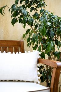 uma almofada sentada num banco ao lado de uma planta em Anemi Deluxe Apartment em Kolios
