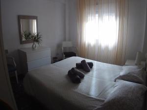 Fotografie z fotogalerie ubytování La casita de Pepe - piso compartido ve Valencii