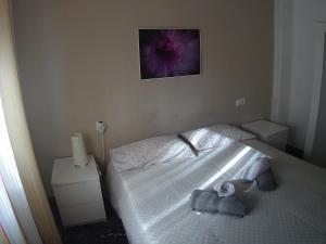 Fotografie z fotogalerie ubytování La casita de Pepe - piso compartido ve Valencii