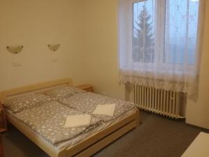 Fotografie z fotogalerie ubytování Hotel - penzion M&M v destinaci Jáchymov