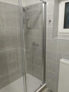 a shower with a glass door in a bathroom at Hotel - penzion M&M in Jáchymov