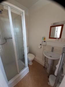 a bathroom with a shower and a toilet and a sink at The Edenhurst Guesthouse in Weymouth