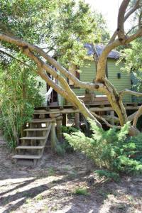 a house with a wooden staircase next to a tree at Las Casquivanas in Punta Del Diablo