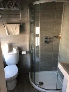 a bathroom with a toilet and a glass shower at Newton House Oxford in Oxford