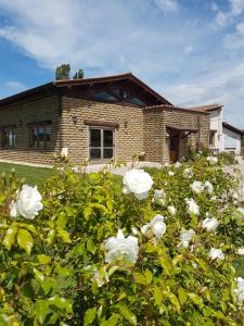 una casa de ladrillo con rosas blancas delante de ella en Agriturismo Podere Farnesiana en Tarquinia